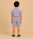 Polyester Checked Shirt and Shorts Set for Boy Kids Casual Wear Half Sleeve Co-Ord Set with Elastic Waist Shorts | Age 6 to 7 Years