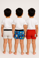 Boy Kids Printed Underwear Brief 100% Pure Cotton for 4-10 Years (Pack of 3)