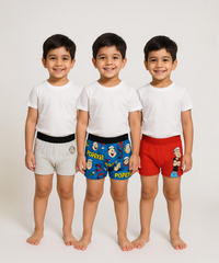 Boy Kids Printed Underwear Brief 100% Pure Cotton for 4-10 Years (Pack of 3)