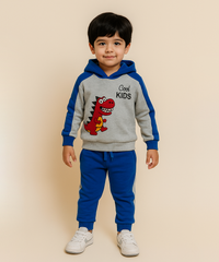 Cotton Kids Hoodie Printed | Age 1 to 5 Years | Hoodie Top and Track Pant Co-ord Set