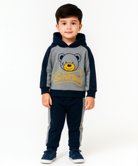Cotton Kids Hoodie Printed | Age 1 to 5 Years | Hoodie Top and Track Pant Co-ord Set