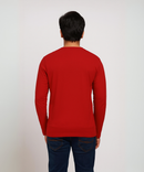 Full Sleeve Round Neck T Shirt / 100% Combed Cotton Single Jersey Bio Wash / ROLLS RUN